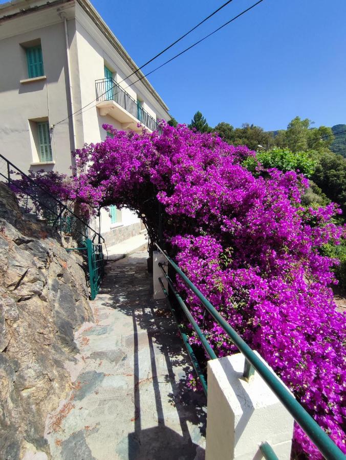 La Vallicella Farinole Buitenkant foto