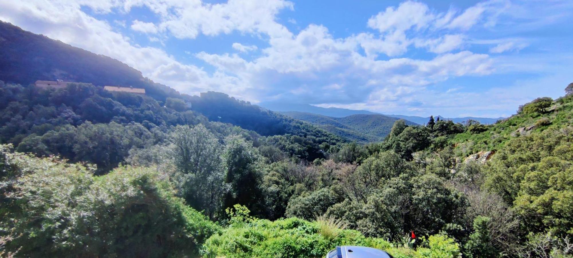 La Vallicella Farinole Kamer foto